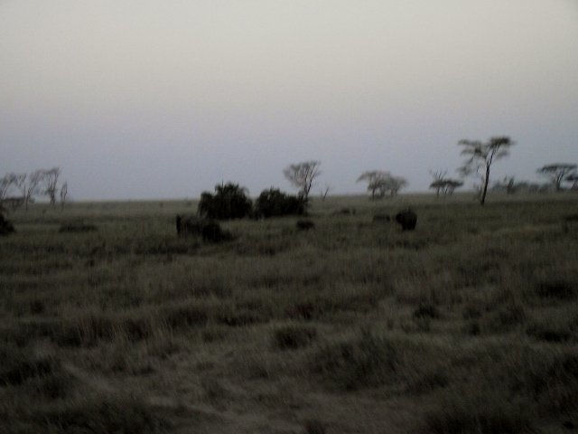Tanzania 091